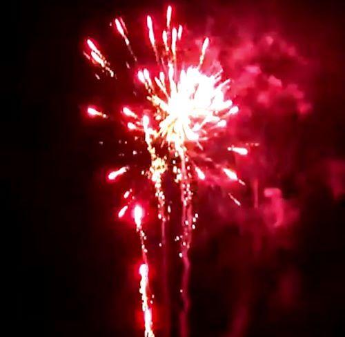 132 - Syn (einzeln, Schnellfeuer)